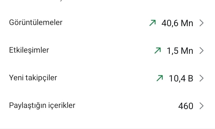 Instagram İstatistikleri